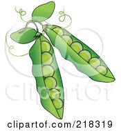 Royalty Free RF Clipart Illustration Of Two Green Pea Pods