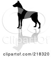 Royalty Free RF Clipart Illustration Of A Black Silhouetted Doberman Pinscher And Reflection