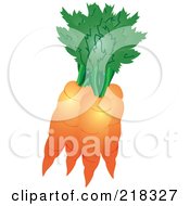 Royalty Free RF Clipart Illustration Of A Bundle Of Organic Orange Carrots