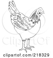 Poster, Art Print Of Black And White Chicken Coloring Page Outline