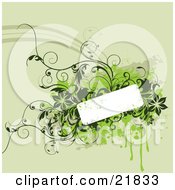 Poster, Art Print Of White Text Space Box With Light And Dark Green Vines Flowers And Splatters On A Faded Green Background