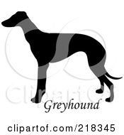 Black Silhouetted Greyhound And Text