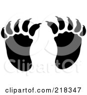 Poster, Art Print Of Pair Of Black And White Raccoon Tracks
