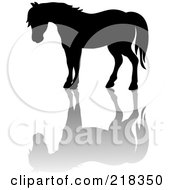 Royalty Free RF Clipart Illustration Of A Black Silhouetted Horse And Reflection