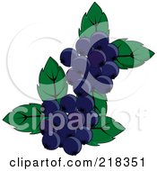 Poster, Art Print Of Blueberries And Leaves