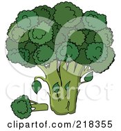 Royalty Free RF Clipart Illustration Of A Head Of Broccoli by Pams Clipart