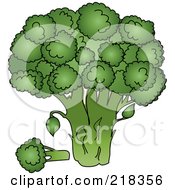 Royalty Free RF Clipart Illustration Of A Head Of Organic Broccoli by Pams Clipart
