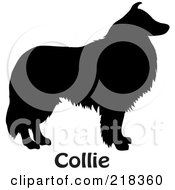 Black Silhouetted Collie Dog With Text
