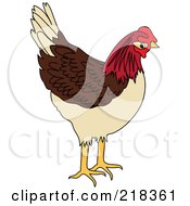 Poster, Art Print Of Brown Tan And Red Chicken