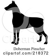 Poster, Art Print Of Black Silhouetted Doberman Pinscher And Text