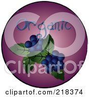Organic Blueberries On A Purple Circle