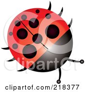 Poster, Art Print Of Shiny Round Ladybug