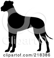 Black Silhouetted Great Dane Dog In Profile