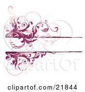 Poster, Art Print Of White Text Space Bordered With Leafy Scrolling Red And Pink Vines Over A White Background