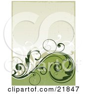 Poster, Art Print Of Green And White Scrolling Vines Over A Dark And Light Green Background With Grunge Texture