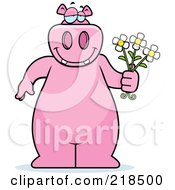 Big Pink Hippo Holding Daisy Flowers For His Love