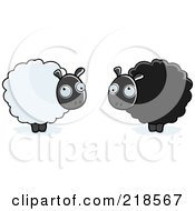 Poster, Art Print Of Digital Collage Of Fluffy White And Black Sheep