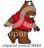 Poster, Art Print Of Beaver Wearing A Red Shirt And Walking Upright