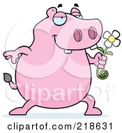 Poster, Art Print Of Pink Hippo Presenting A Daisy