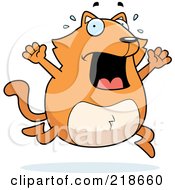 Poster, Art Print Of Panicing Orange Cat Freaking Out