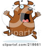 Poster, Art Print Of Stressed Dog Freaking Out