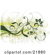 Poster, Art Print Of Green Curly Vines With Flowers Over A Grunge White Background