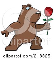 Poster, Art Print Of Romantic Groundhog Presenting A Red Rose For His Love