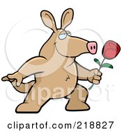 Romantic Aardvark Presenting A Red Rose For His Love