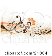 Poster, Art Print Of Floral Background Of Orange Flowers Blooming On Green And Brown Vines Over White