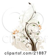 Poster, Art Print Of Green And Brown Vine Plant With Scrolls And Orange Blossoms Over A Faded Brown And White Background