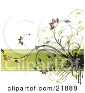 Poster, Art Print Of Brown Flowering Green And Black Vines With Grunge Paint Splatters Over A Horizontal Green Band On A White Background