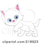 Poster, Art Print Of Cute White Kitten Walking And Glancing