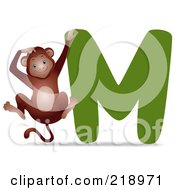 Animal Alphabet With A Monkey By A M