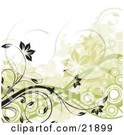 Clipart Picture Illustration Of Flowering Black And Green Vines With Circles Over A White Background