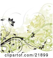 Poster, Art Print Of Flowering Black And Green Vines With Circles Over A White Background