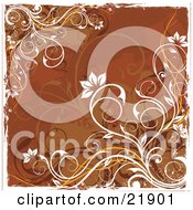 Poster, Art Print Of Brown Background Of Orange And White Curly Vines With Flower Blooms