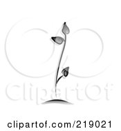 Royalty Free RF Clipart Illustration Of An Ornate Black And White Seedling Design