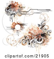 Poster, Art Print Of Collection Of Design Elements With Orange Black Brown And White Flowers And Vines