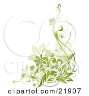 Poster, Art Print Of Tan And Gradient Green Flowering Vines Over A White Background