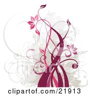 Clipart Picture Illustration Of A Twisting And Growing Pink And Red Vine With Blooming Flowers Over A Grunge Green Gray And White Background
