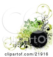 Poster, Art Print Of Black Spray Circular Text Space With Black And Green Flowers And Vines Over A White Background