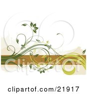 Poster, Art Print Of Green Curly Vines With Beautiful Flowers Over An Orange Horizontal Line On A White Background