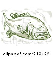 Poster, Art Print Of Green Largemouth Bass From The Front Side