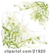 Poster, Art Print Of Corners Of Green And Tan Flowering Vines Over A White Background