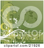 Poster, Art Print Of White And Green Flowering Vines Scrolling Over Horizontal And Vertical Lines On A Green Background