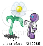Poster, Art Print Of Purple Man Scientist Admiring A Giant White Daisy Flower
