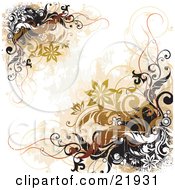 Poster, Art Print Of Corners Of White Black And Brown Vines And Flowers Over A White Background