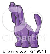 Purple Tick Hound Dog Howling Or Sniffing The Air