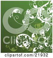 Clipart Picture Illustration Of Green And White Flowers On Leafy Scrolling Vines Over A Dark Green Gradient Background