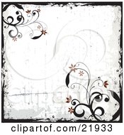 Poster, Art Print Of Grunge Black Border With Vines And Red Flowers On A White Background